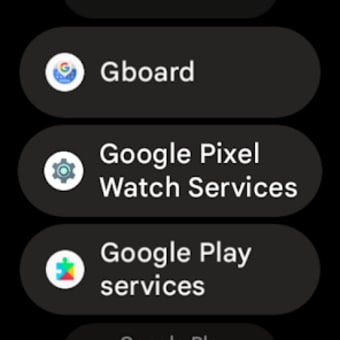 Google Pixel Watch Services