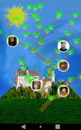 Genealogical tree 3D