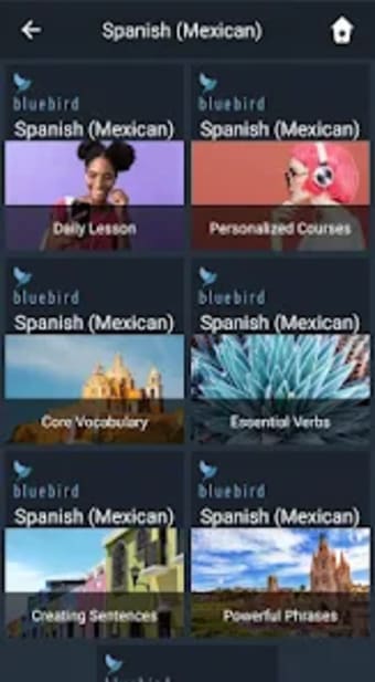 Learn Mexican Spanish. Speak M