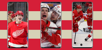 Detroit Red Wings Wallpaper