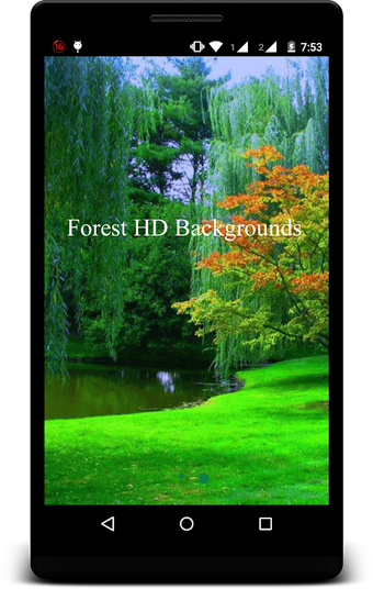 Forest HD Backgrounds