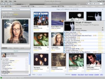 iTunes Album Browser