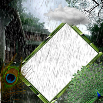 Rain Insta DP : Monsoon DP