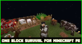 block survival for Minecraft