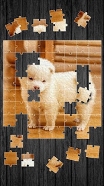 Cute Dogs Jigsaw Puzzle