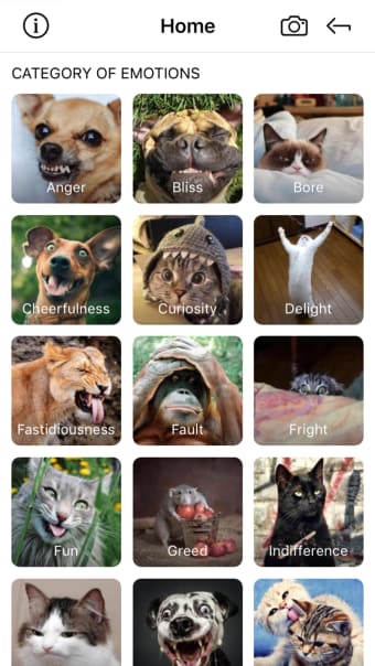 WildEmotions: add text to photos with animal cards