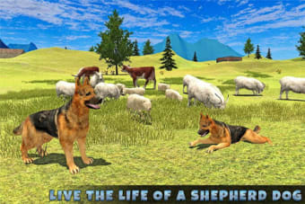 Real Dog Shephard World SIM