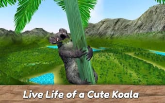 Koala Family Simulator - try A