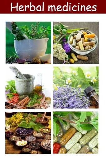 Herbal medicines plant