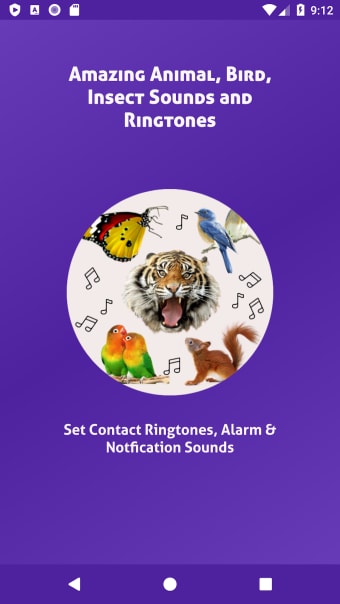 Animal Bird Insect Sounds and Ringtones