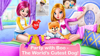 Boo - Worlds Cutest Dog Game