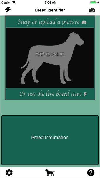 Dog Breed Identifier