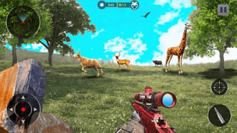Wild Animal Dino Hunting Games