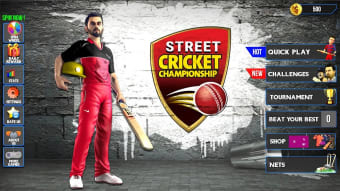 Street Cricket Championship
