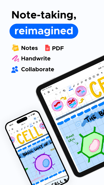 Notewise - Notes  PDF