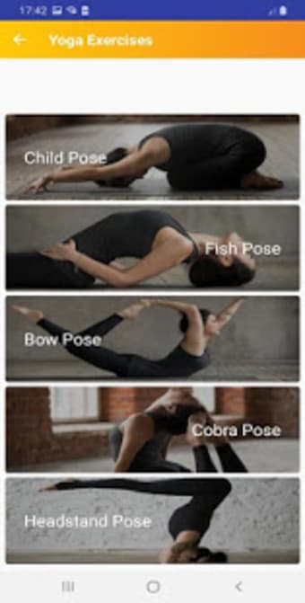 Yoga Exercise  Daily Yoga for Beginners
