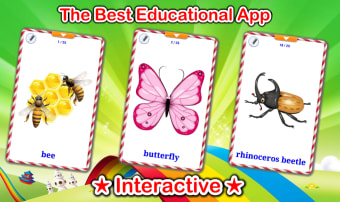 Insects Cards (Learn Languages)