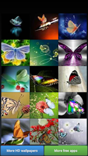 Butterflies HD Wallpapers
