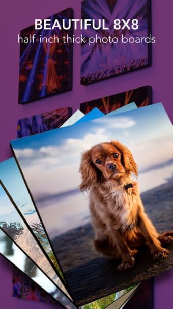 PhotoSquared photo wall tiles