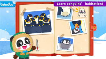 Little Pandas Penguin Run