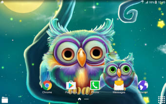 Cute Owls Live Wallpaper