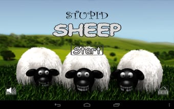Stupid Sheep (free)