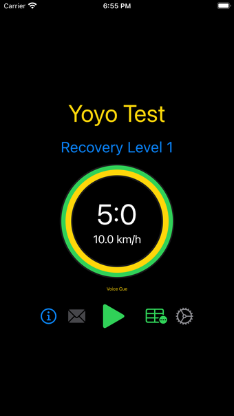 Yoyo Test