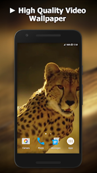 Cheetah Video Live Wallpaper