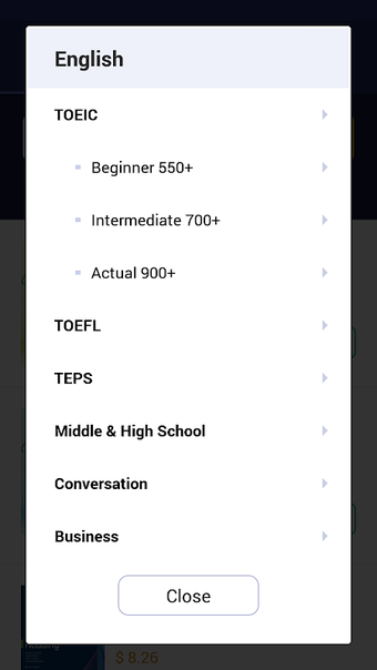 Divii School - IELTS, TOEFL & Competitive Exams