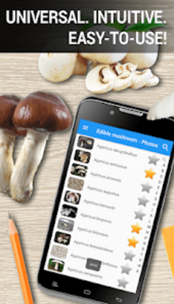 Edible mushroom - Photos