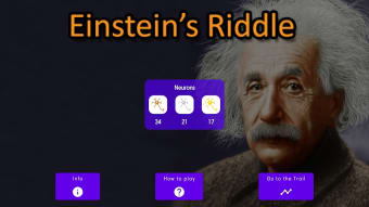 Einsteins Riddle