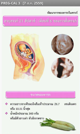 PREG-CAL สุขภาพสตรีตั้งครรภ์