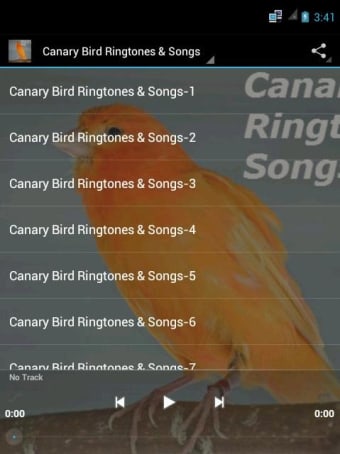 Canary Bird Ringtones  Songs