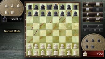 the chess lv.100