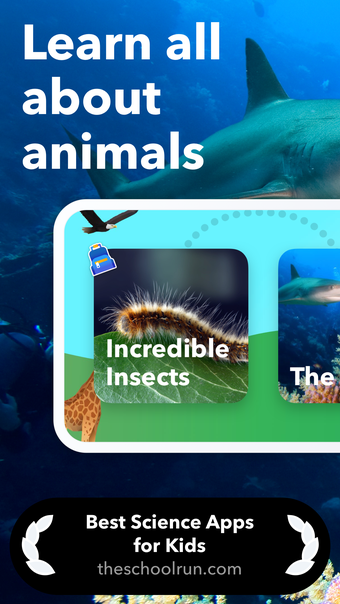 Animal Life - Science for Kids