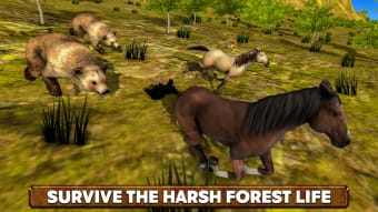 Wild Horse Life Simulator
