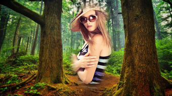 Forest Photo Frames