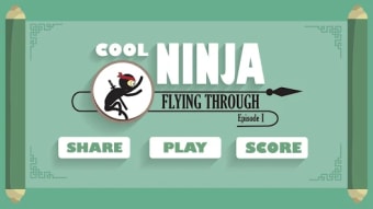 Cool Ninja: Amazing Ninja Game