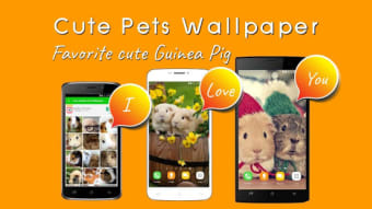 Cute Pets Wallpapers Background