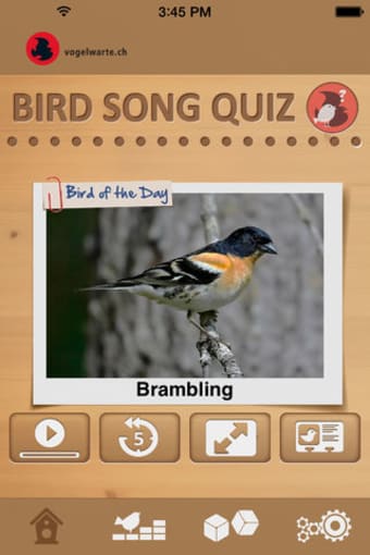 Bird-Song-Quiz