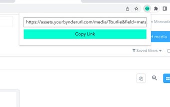 BURLIE - Bynder URL Initiator Extension