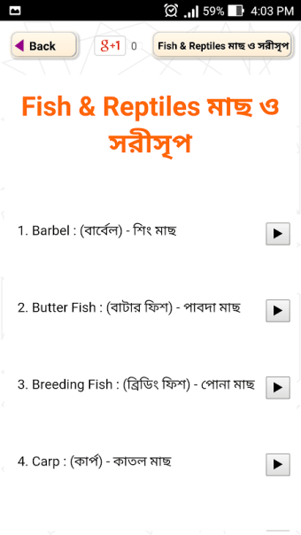 উচ্চারণ সহ ইংরেজি শব্দ শিখুন -Bangla Words Book