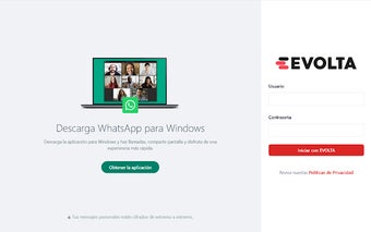 Evolta whatsapp