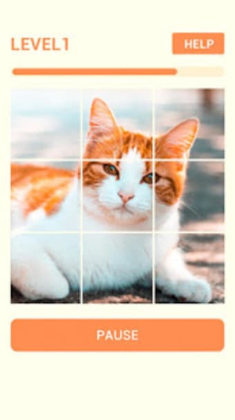 Meow Puzzle-Puzzle Cute Cat