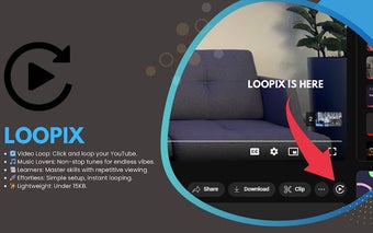 Loopix