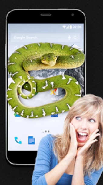 Snake on Screen