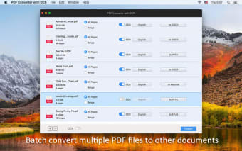 PDF Converter with OCR
