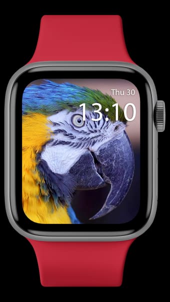 Live Watch Faces