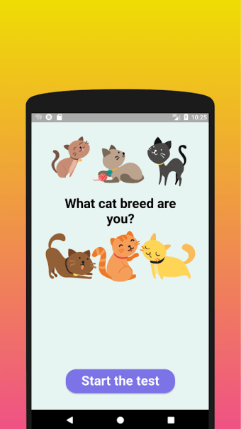 What cat breed are you? Test