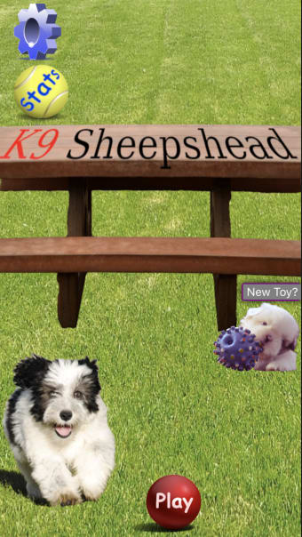 K9 Sheepshead: Schafkopf Cards